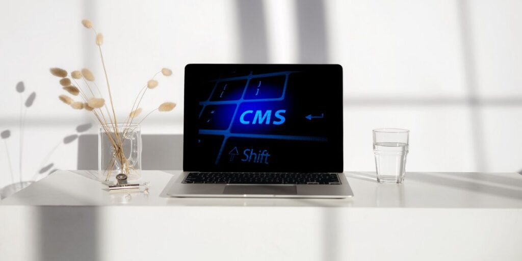 CMS system WordPress